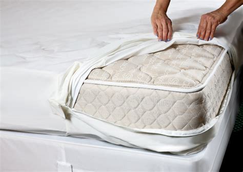 Can Bed Bugs Eat Through Plastic Mattress Covers